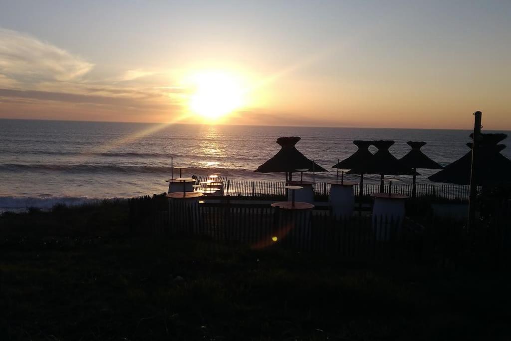 Appart' Dans Les Pins, Ocean, Lac, Piscine Lacanau Buitenkant foto