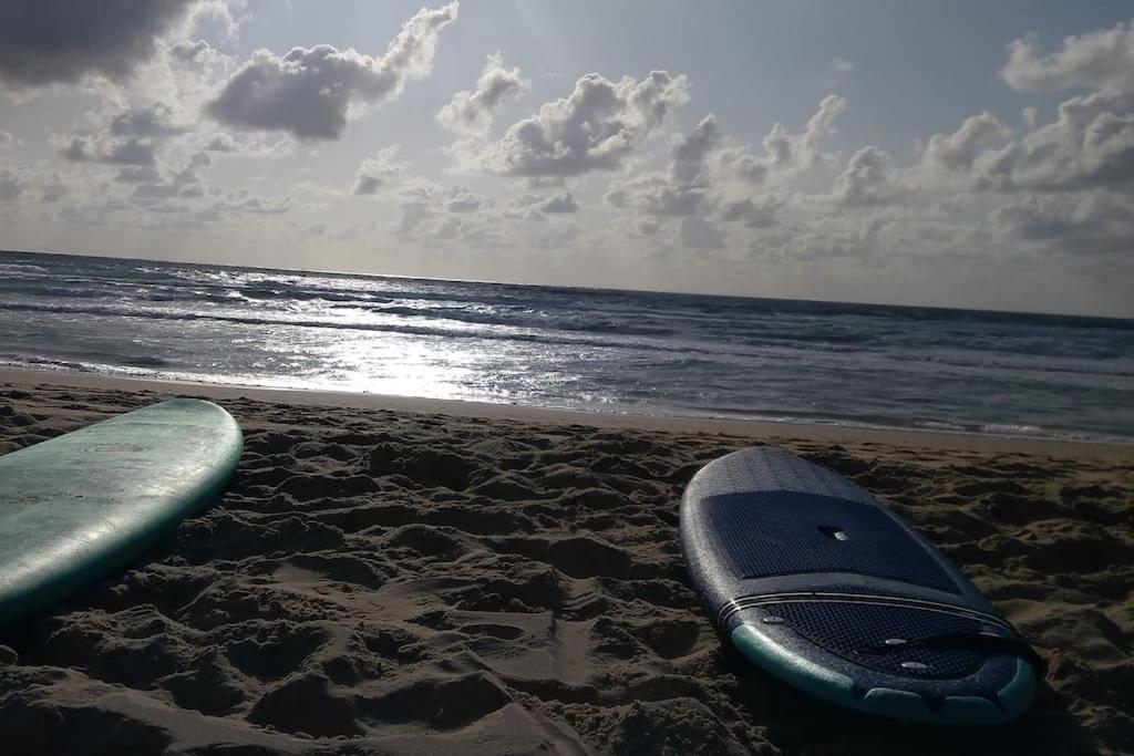 Appart' Dans Les Pins, Ocean, Lac, Piscine Lacanau Buitenkant foto
