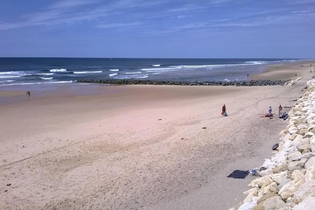 Appart' Dans Les Pins, Ocean, Lac, Piscine Lacanau Buitenkant foto