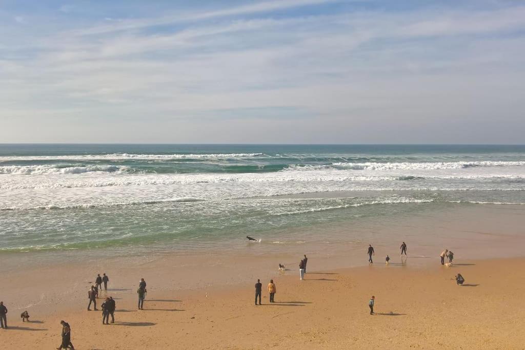 Appart' Dans Les Pins, Ocean, Lac, Piscine Lacanau Buitenkant foto